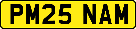 PM25NAM