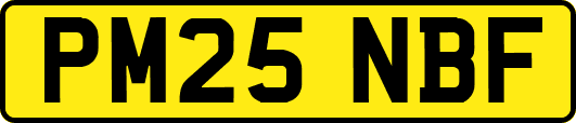 PM25NBF