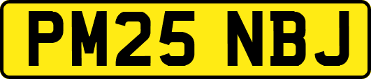 PM25NBJ