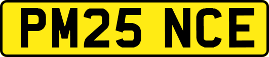 PM25NCE
