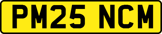 PM25NCM