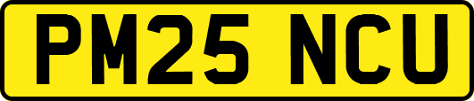 PM25NCU