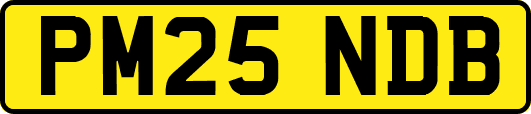 PM25NDB