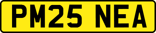 PM25NEA