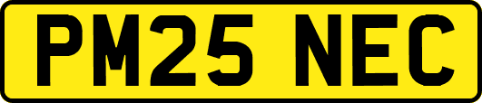 PM25NEC