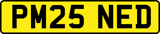 PM25NED