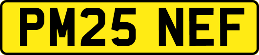 PM25NEF