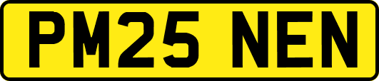 PM25NEN