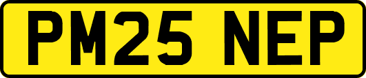 PM25NEP
