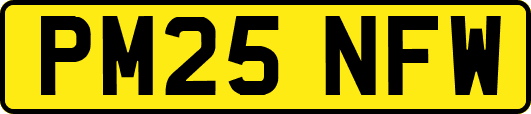 PM25NFW