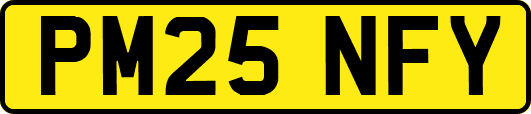 PM25NFY