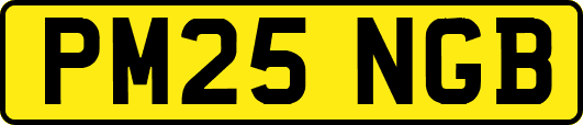 PM25NGB