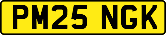 PM25NGK