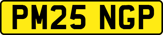 PM25NGP