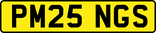 PM25NGS