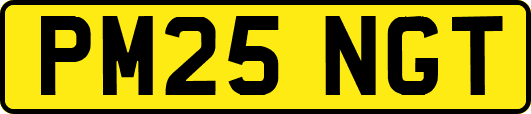 PM25NGT