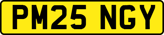 PM25NGY