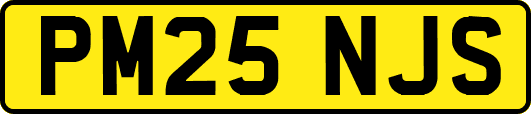 PM25NJS