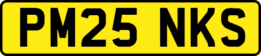 PM25NKS