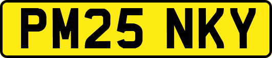 PM25NKY