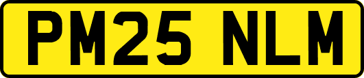 PM25NLM