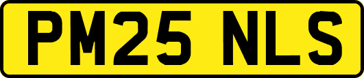 PM25NLS