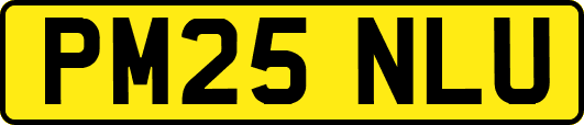 PM25NLU