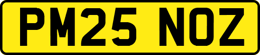 PM25NOZ
