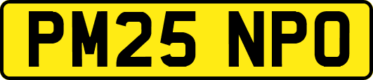 PM25NPO