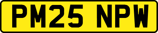 PM25NPW