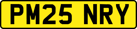 PM25NRY