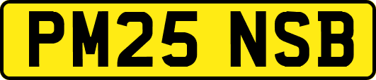 PM25NSB