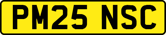 PM25NSC