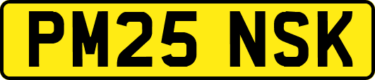 PM25NSK