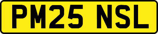 PM25NSL