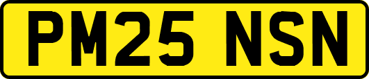 PM25NSN