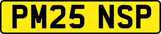 PM25NSP