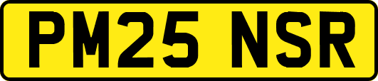 PM25NSR