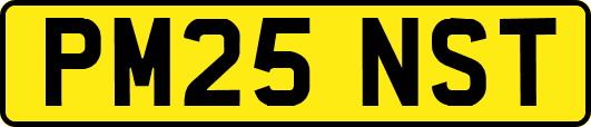 PM25NST
