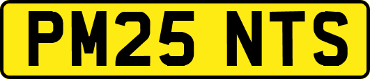 PM25NTS