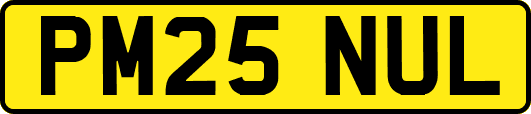 PM25NUL