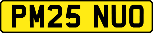 PM25NUO