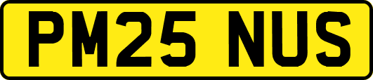 PM25NUS