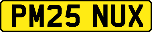 PM25NUX