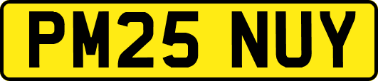 PM25NUY