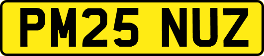 PM25NUZ