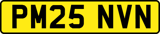 PM25NVN