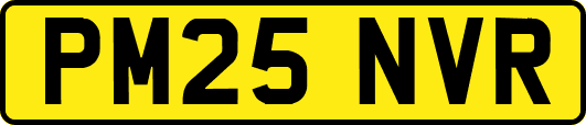 PM25NVR
