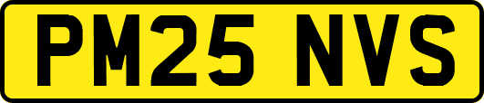 PM25NVS