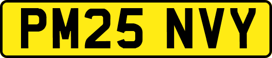 PM25NVY